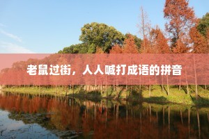 老鼠过街，人人喊打成语的拼音