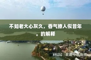 不知老大心灰久，香气撩人似昔年。的解释