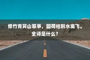 修竹青冥山翠事，圆荷枯到水禽飞。全诗是什么？