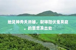 地灵神秀天所秘，豺嗥虺伏鬼莫窥。的意思及出处