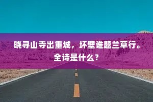 晓寻山寺出重城，坏壁谁题兰草行。全诗是什么？