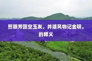 照眼芳匪空玉友，并湖风物记金明。的释义