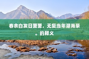 春余白发日萧萧，无复当年湖海豪。的释义