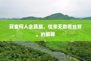寂寞何人念羁旅，忧来无数若丝棼。的解释