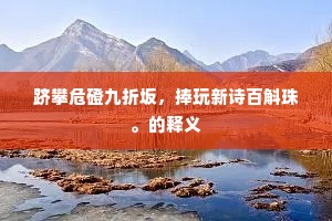 跻攀危磴九折坂，捧玩新诗百斛珠。的释义