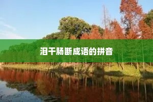 泪干肠断成语的拼音