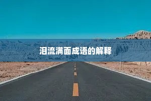 泪流满面成语的解释