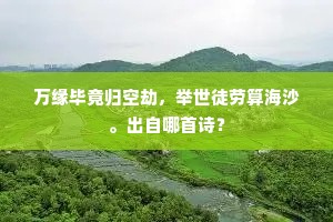 万缘毕竟归空劫，举世徒劳算海沙。出自哪首诗？