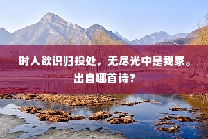 时人欲识归投处，无尽光中是我家。出自哪首诗？