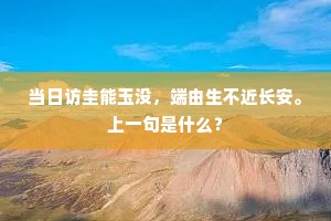 当日访圭能玉没，端由生不近长安。上一句是什么？