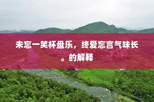 未忘一笑杯盘乐，终爱忘言气味长。的解释