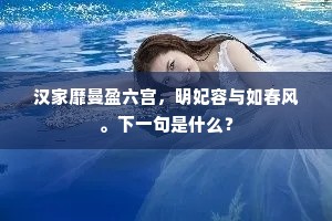 汉家靡曼盈六宫，明妃容与如春风。下一句是什么？