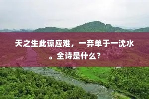 天之生此谅应难，一弃单于一沈水。全诗是什么？
