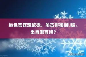 远色苍苍难致极，吊古徘徊泪霑臆。出自哪首诗？