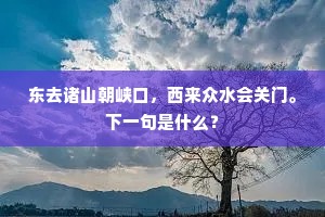 东去诸山朝峡口，西来众水会关门。下一句是什么？