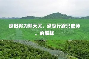 感旧将为仰天哭，恐惊行路只成诗。的解释