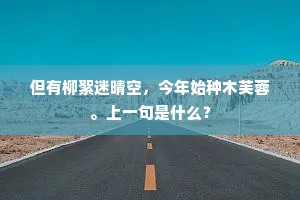 但有柳絮迷晴空，今年始种木芙蓉。上一句是什么？