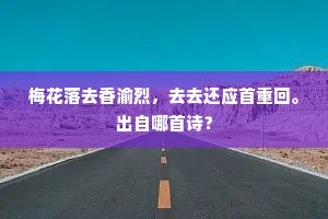 梅花落去香渝烈，去去还应首重回。出自哪首诗？
