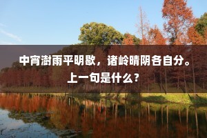 中宵澍雨平明歇，诸岭晴阴各自分。上一句是什么？