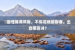 慇勤怪我凋双鬓，不似花枝却耐春。出自哪首诗？