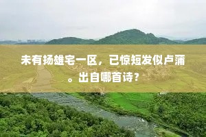 未有扬雄宅一区，已惊短发似卢蒲。出自哪首诗？