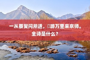 一从蔡叟问所适，羇游万里来京师。全诗是什么？