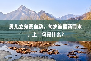 男儿立身要自励，旬岁连摧两司隶。上一句是什么？