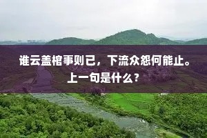 谁云盖棺事则已，下流众怨何能止。上一句是什么？