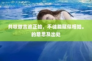 共叹微言追正始，不徒能赋似相如。的意思及出处