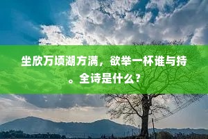 坐欣万顷湖方满，欲举一杯谁与持。全诗是什么？