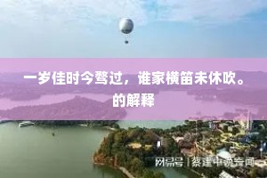 一岁佳时今骛过，谁家横笛未休吹。的解释