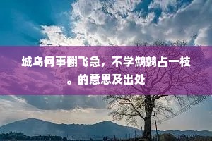 城乌何事翻飞急，不学鹪鹩占一枝。的意思及出处