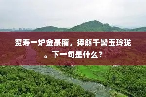 赞寿一炉金篆籀，捧觞千髻玉玲珑。下一句是什么？