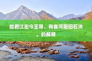 如君江左今王导，有客河阳旧石洪。的解释
