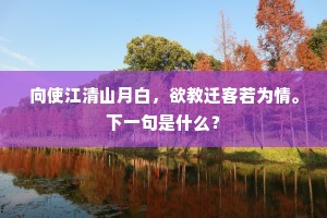 向使江清山月白，欲教迁客若为情。下一句是什么？