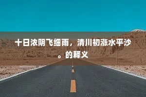 十日浓阴飞细雨，清川初涨水平沙。的释义