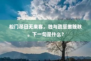 松门尽日无来客，独与疏篁傲晚秋。下一句是什么？