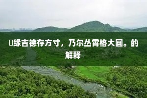 秪缘吉德存方寸，乃尔丛霄格大圆。的解释