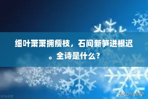 细叶萧萧拥瘦枝，石间新笋迸根迟。全诗是什么？