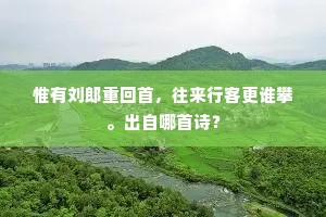 惟有刘郎重回首，往来行客更谁攀。出自哪首诗？