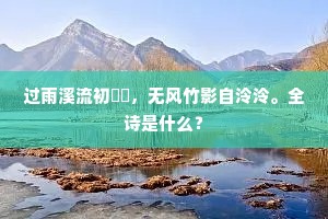 过雨溪流初瀰瀰，无风竹影自泠泠。全诗是什么？