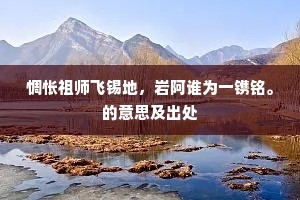 惆怅祖师飞锡地，岩阿谁为一镌铭。的意思及出处