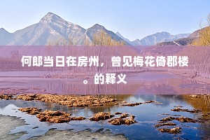 何郎当日在房州，曾见梅花倚郡楼。的释义