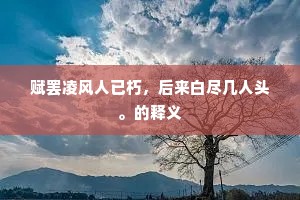 赋罢凌风人已朽，后来白尽几人头。的释义