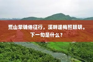 荒山荦确倦征行，溪畔逢梅照眼明。下一句是什么？