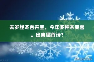 去岁经冬百卉空，今年多种木芙蓉。出自哪首诗？