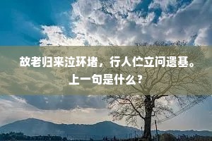 故老归来泣环堵，行人伫立问遗基。上一句是什么？