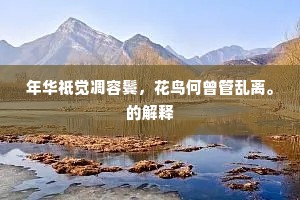 年华祗觉凋容鬓，花鸟何曾管乱离。的解释