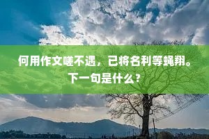 何用作文嗟不遇，已将名利等蝇翔。下一句是什么？
