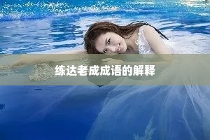 练达老成成语的解释